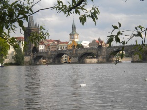 Charles Bridge  qnd a lonely Swan from Kampa Park
